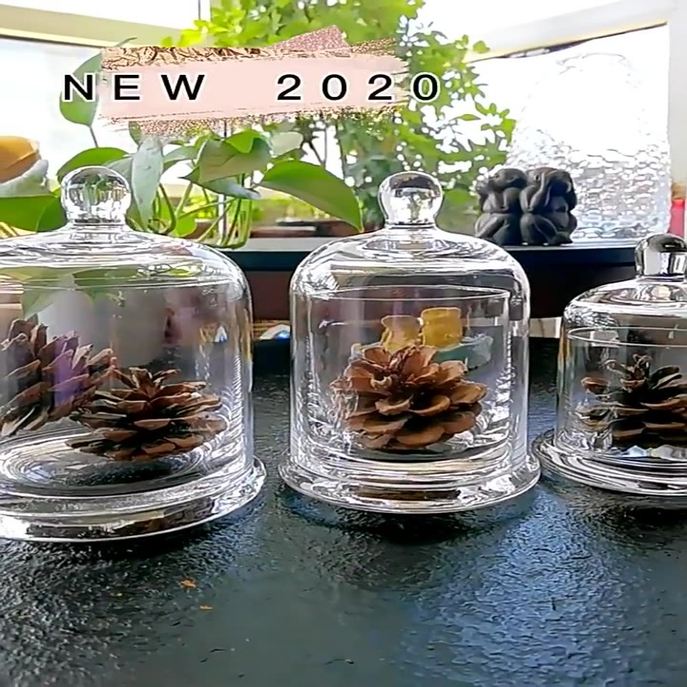 Food Storage Of Plants - Cam Saklama Kavanozu Ebedi Çiçek 8